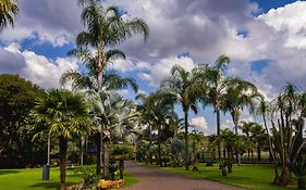 Palmera Guest House